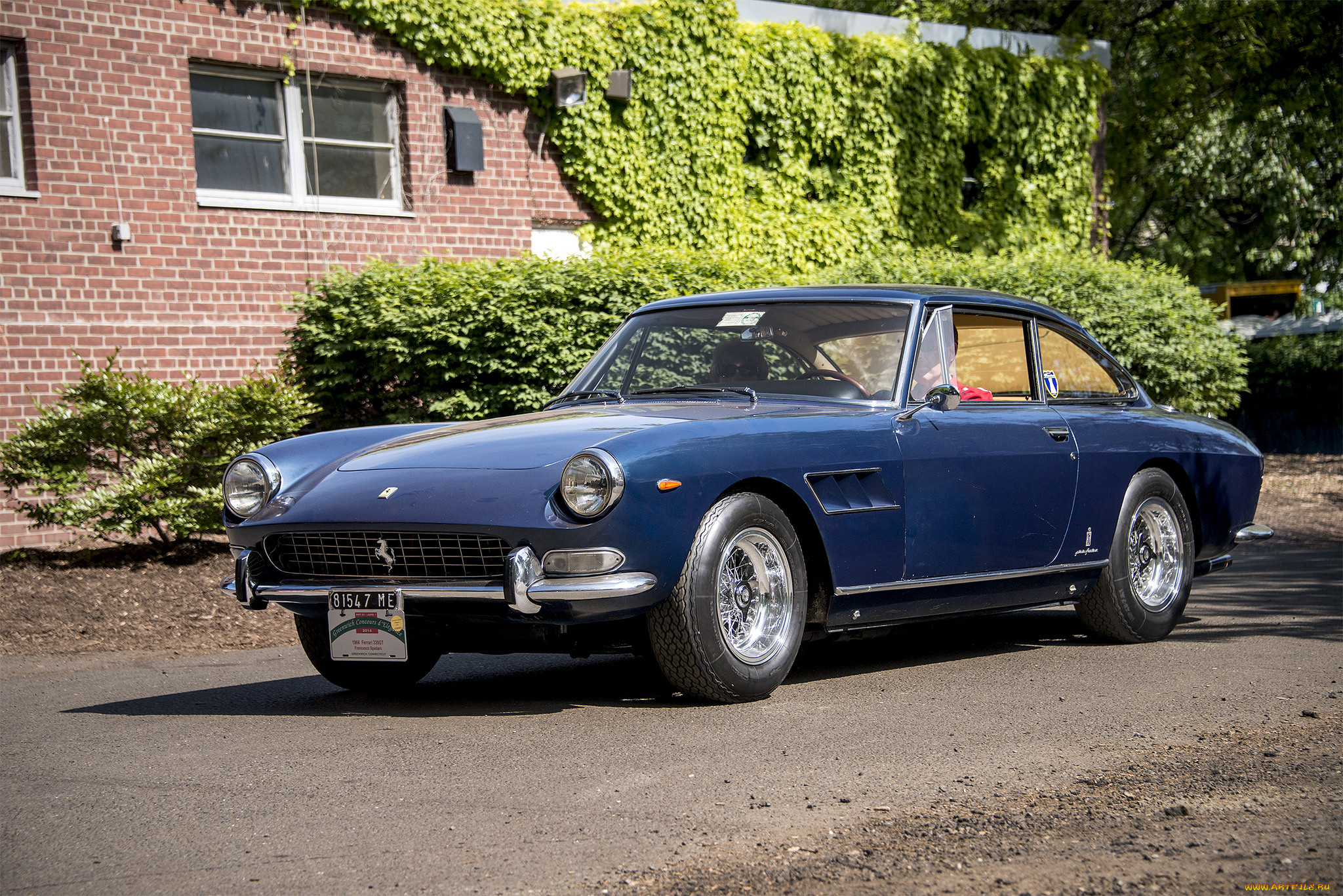 ferrari 330gt,  1966, , ferrari, , , 